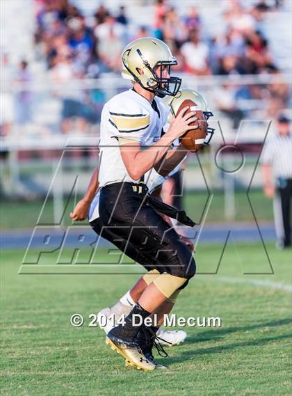 Thumbnail 3 in Mitchell @ Wiregrass Ranch photogallery.