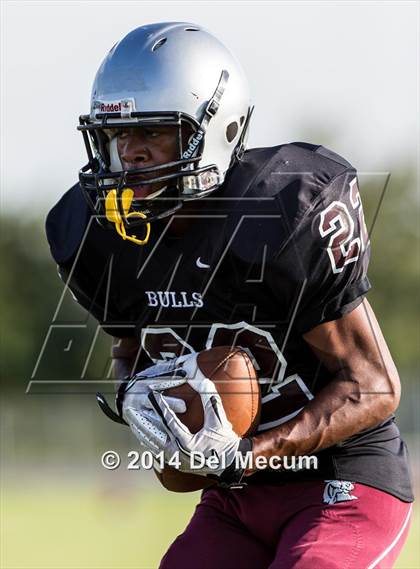 Thumbnail 2 in Mitchell @ Wiregrass Ranch photogallery.