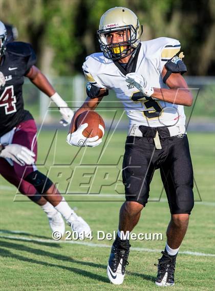 Thumbnail 2 in Mitchell @ Wiregrass Ranch photogallery.