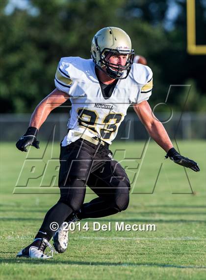 Thumbnail 2 in Mitchell @ Wiregrass Ranch photogallery.