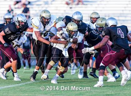 Thumbnail 1 in Mitchell @ Wiregrass Ranch photogallery.