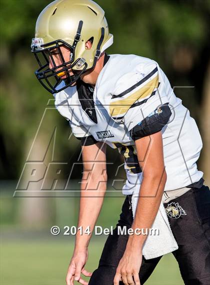 Thumbnail 2 in Mitchell @ Wiregrass Ranch photogallery.