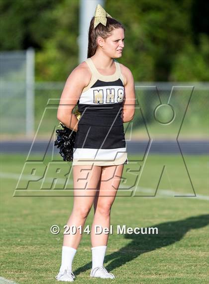 Thumbnail 2 in Mitchell @ Wiregrass Ranch photogallery.