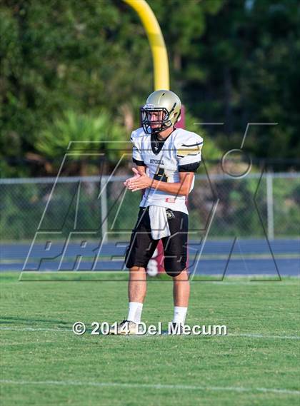 Thumbnail 2 in Mitchell @ Wiregrass Ranch photogallery.