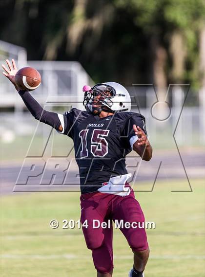 Thumbnail 3 in Mitchell @ Wiregrass Ranch photogallery.