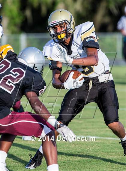 Thumbnail 1 in Mitchell @ Wiregrass Ranch photogallery.