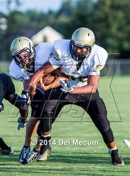 Thumbnail 2 in Mitchell @ Wiregrass Ranch photogallery.
