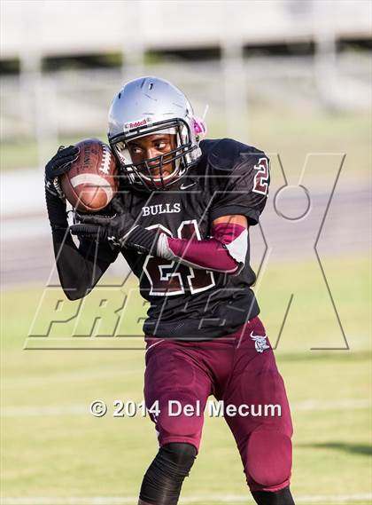 Thumbnail 3 in Mitchell @ Wiregrass Ranch photogallery.