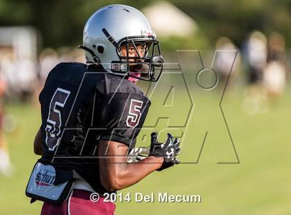 Thumbnail 1 in Mitchell @ Wiregrass Ranch photogallery.