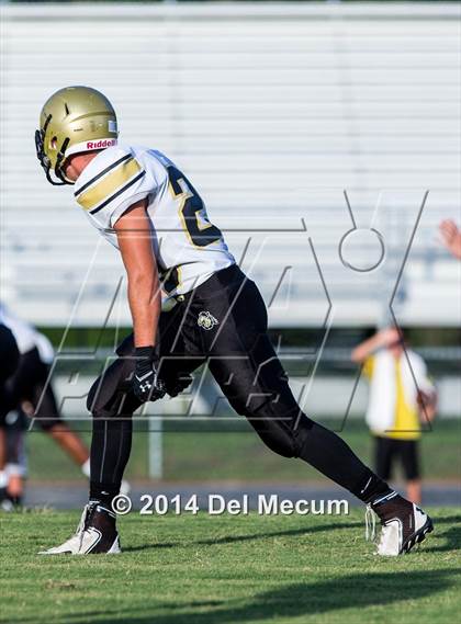 Thumbnail 3 in Mitchell @ Wiregrass Ranch photogallery.