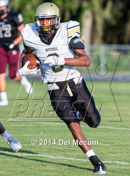 Thumbnail 2 in Mitchell @ Wiregrass Ranch photogallery.