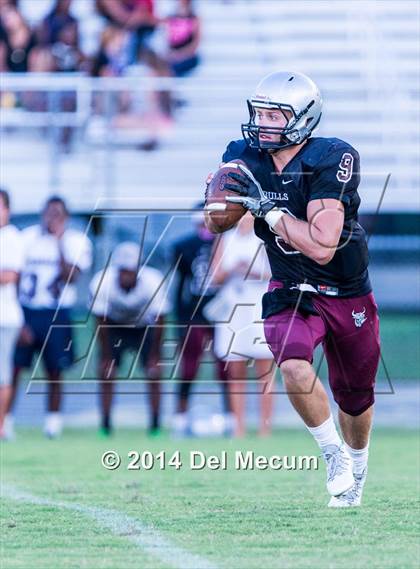 Thumbnail 1 in Mitchell @ Wiregrass Ranch photogallery.