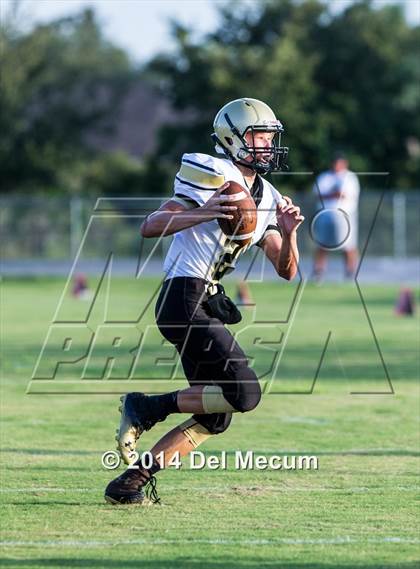 Thumbnail 3 in Mitchell @ Wiregrass Ranch photogallery.
