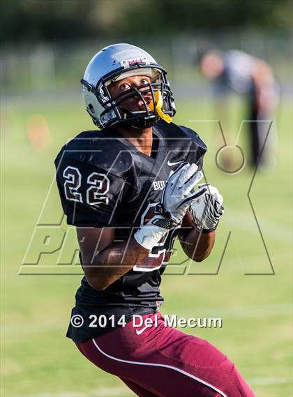 Thumbnail 1 in Mitchell @ Wiregrass Ranch photogallery.