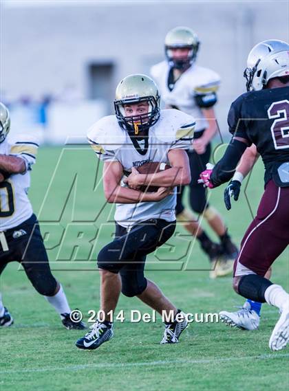 Thumbnail 1 in Mitchell @ Wiregrass Ranch photogallery.