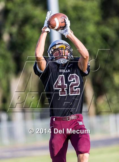 Thumbnail 2 in Mitchell @ Wiregrass Ranch photogallery.