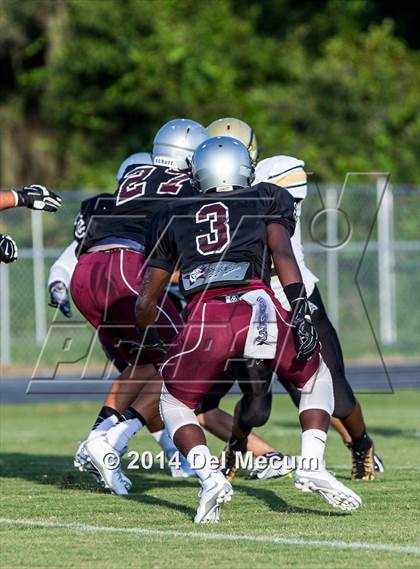 Thumbnail 2 in Mitchell @ Wiregrass Ranch photogallery.
