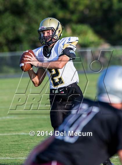 Thumbnail 1 in Mitchell @ Wiregrass Ranch photogallery.