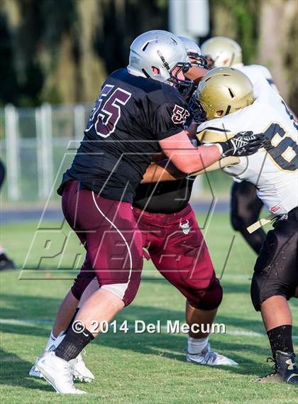 Thumbnail 3 in Mitchell @ Wiregrass Ranch photogallery.