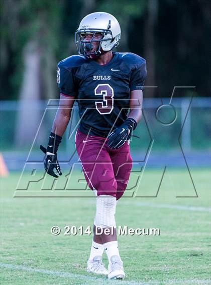 Thumbnail 1 in Mitchell @ Wiregrass Ranch photogallery.