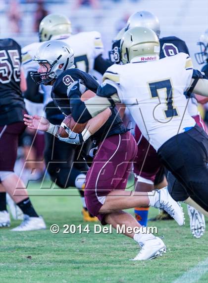 Thumbnail 3 in Mitchell @ Wiregrass Ranch photogallery.