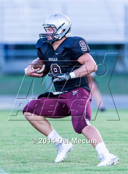 Thumbnail 2 in Mitchell @ Wiregrass Ranch photogallery.