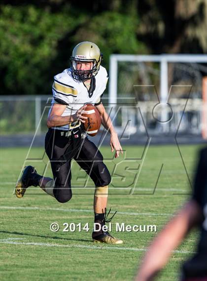 Thumbnail 3 in Mitchell @ Wiregrass Ranch photogallery.