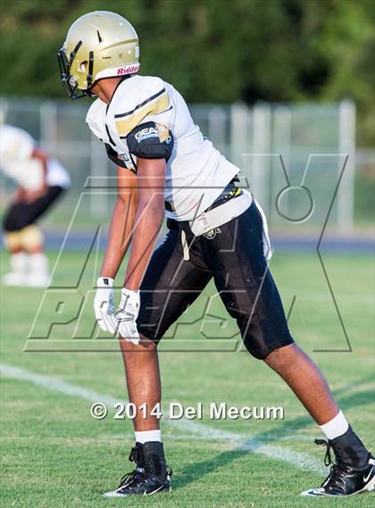 Thumbnail 2 in Mitchell @ Wiregrass Ranch photogallery.