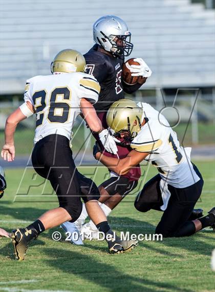 Thumbnail 1 in Mitchell @ Wiregrass Ranch photogallery.