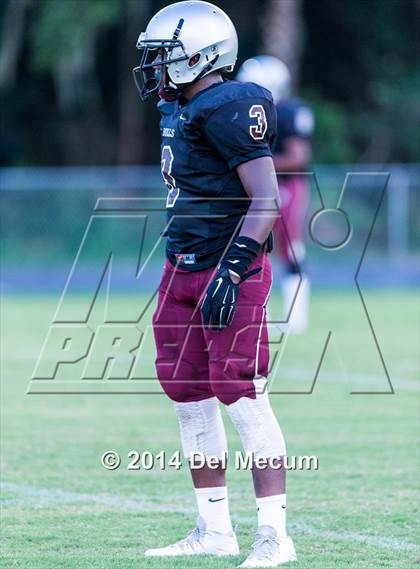 Thumbnail 2 in Mitchell @ Wiregrass Ranch photogallery.