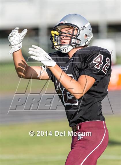 Thumbnail 1 in Mitchell @ Wiregrass Ranch photogallery.