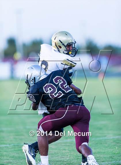 Thumbnail 3 in Mitchell @ Wiregrass Ranch photogallery.