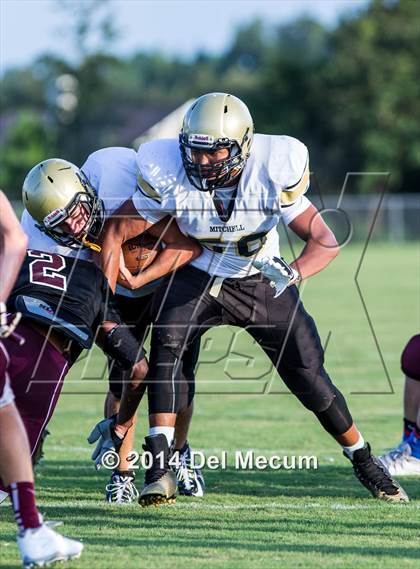 Thumbnail 3 in Mitchell @ Wiregrass Ranch photogallery.
