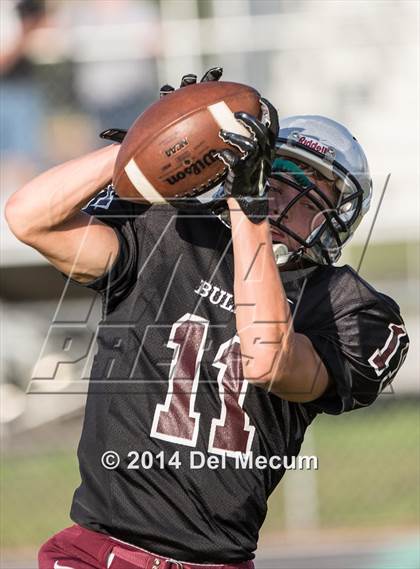 Thumbnail 2 in Mitchell @ Wiregrass Ranch photogallery.