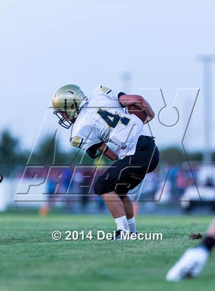 Thumbnail 1 in Mitchell @ Wiregrass Ranch photogallery.