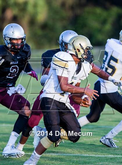 Thumbnail 3 in Mitchell @ Wiregrass Ranch photogallery.