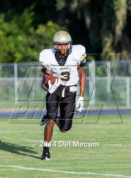 Thumbnail 2 in Mitchell @ Wiregrass Ranch photogallery.