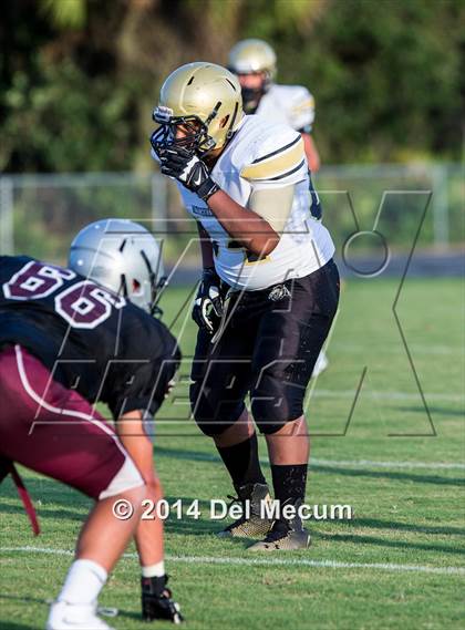 Thumbnail 1 in Mitchell @ Wiregrass Ranch photogallery.