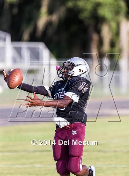 Thumbnail 1 in Mitchell @ Wiregrass Ranch photogallery.
