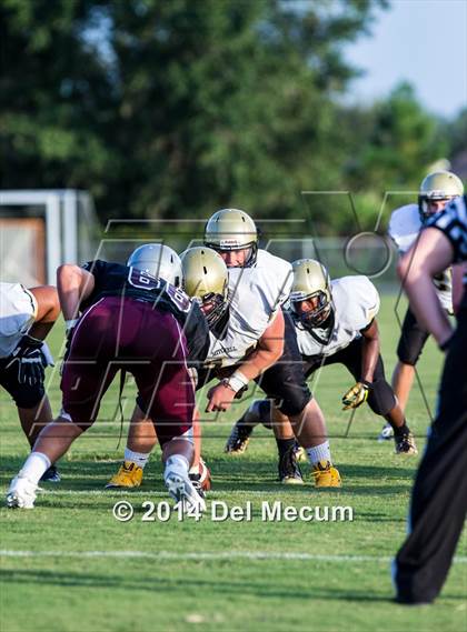 Thumbnail 2 in Mitchell @ Wiregrass Ranch photogallery.