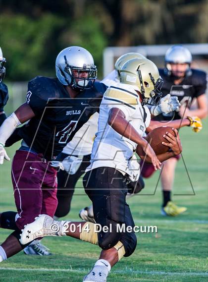 Thumbnail 2 in Mitchell @ Wiregrass Ranch photogallery.