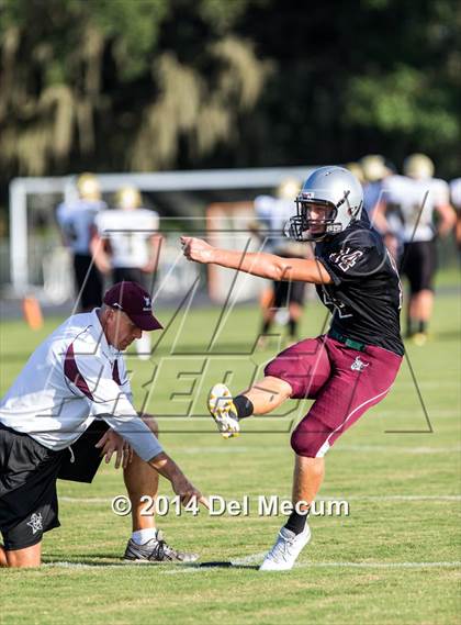 Thumbnail 1 in Mitchell @ Wiregrass Ranch photogallery.