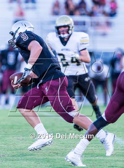 Thumbnail 3 in Mitchell @ Wiregrass Ranch photogallery.