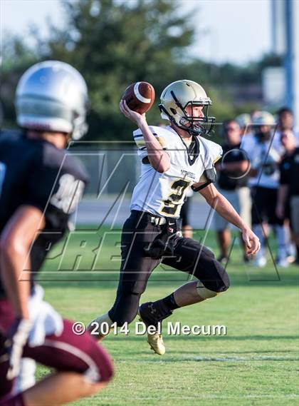 Thumbnail 3 in Mitchell @ Wiregrass Ranch photogallery.