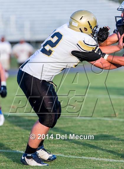 Thumbnail 1 in Mitchell @ Wiregrass Ranch photogallery.