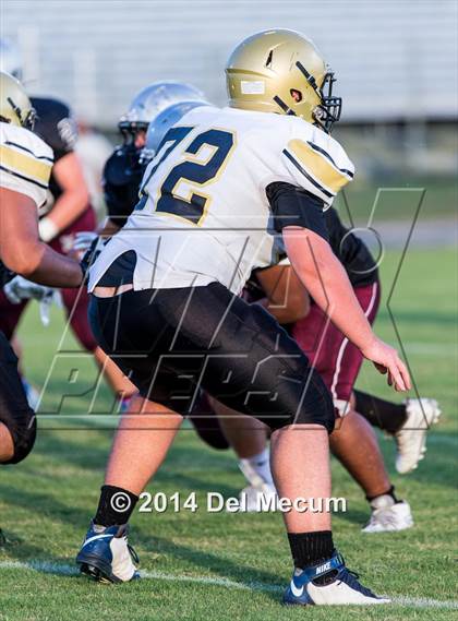 Thumbnail 3 in Mitchell @ Wiregrass Ranch photogallery.
