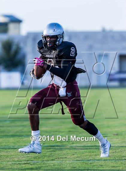 Thumbnail 2 in Mitchell @ Wiregrass Ranch photogallery.
