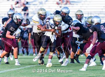 Thumbnail 3 in Mitchell @ Wiregrass Ranch photogallery.