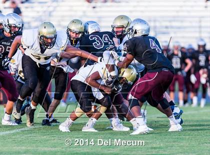 Thumbnail 1 in Mitchell @ Wiregrass Ranch photogallery.
