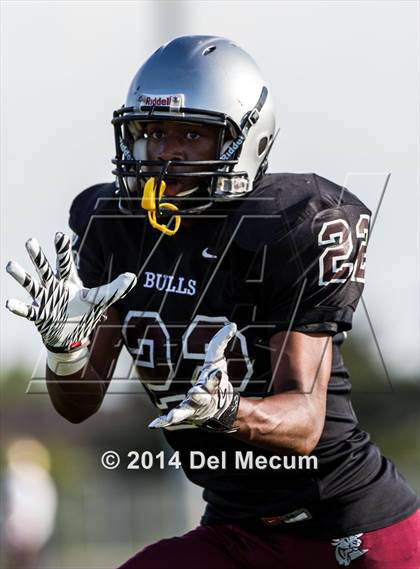Thumbnail 3 in Mitchell @ Wiregrass Ranch photogallery.